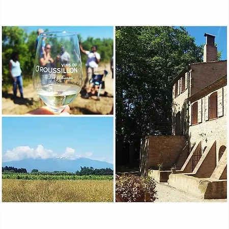 De Charme Du Domaine Pagnon Guillemette Torreilles