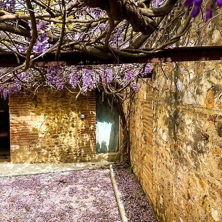 De Charme Du Domaine Pagnon Guillemette * Torreilles